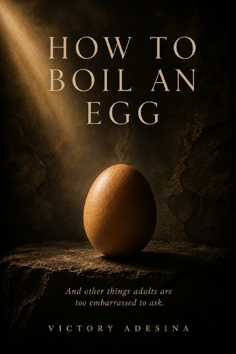 How to Boil an Egg